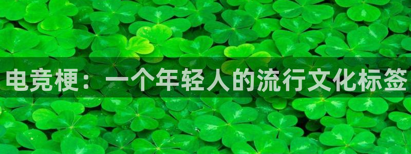 leyu电竞电竞是什么意思