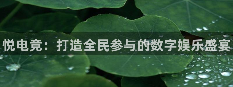 leyu电竞电竞下载入口