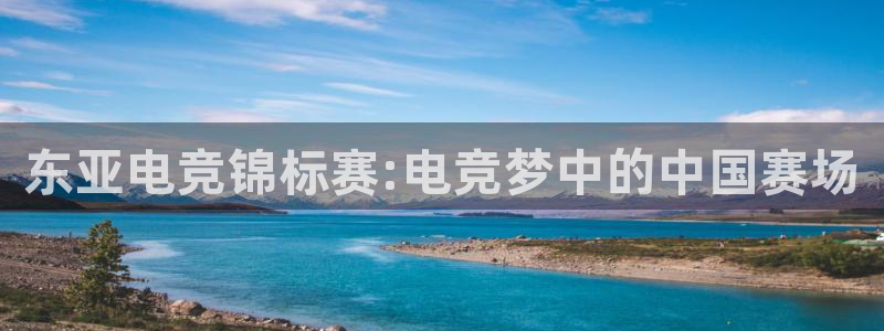 leyu电竞电竞平台- 首页：东亚电竞锦