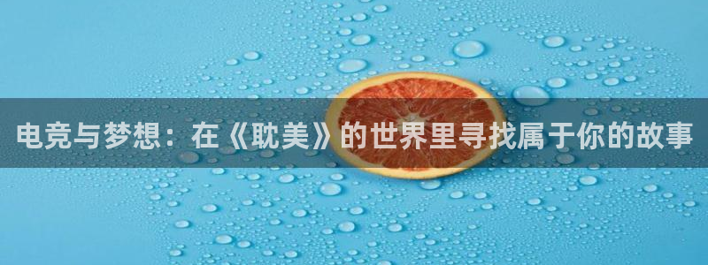 leyu电竞电竞体育官方网站是什么