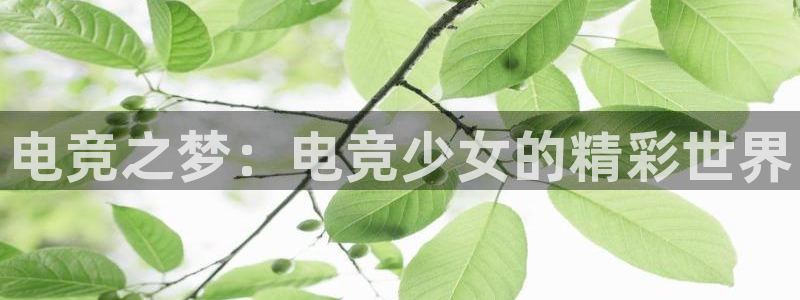 leyu电竞电竞俱乐部