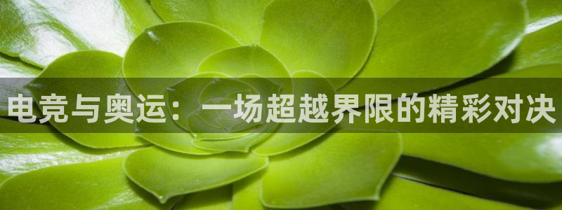 leyu电竞电竞官网app下载入口：电竞