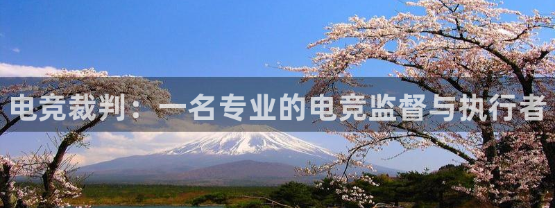 leyu电竞电竞是什么公司：电竞裁判：一