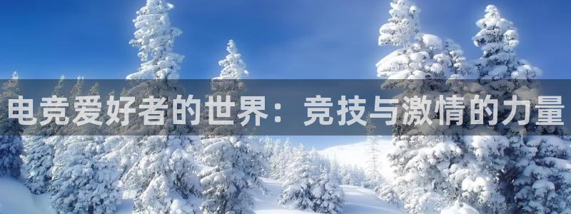 leyu电竞电竞软件：电竞爱好者的世界：